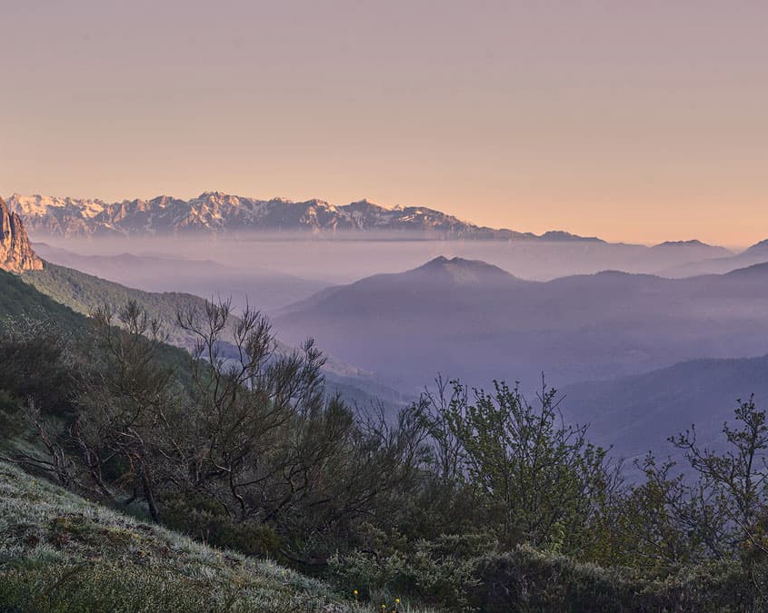 PANORÁMICA