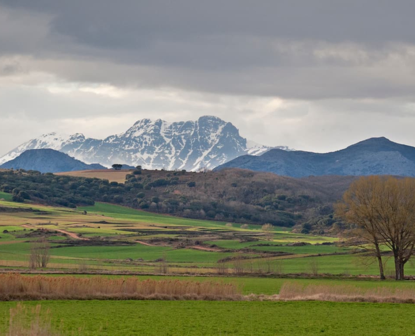 Santa Eufemia de Cozuelos. Paisaje de La Ojeda con el Curavacas 003-5
